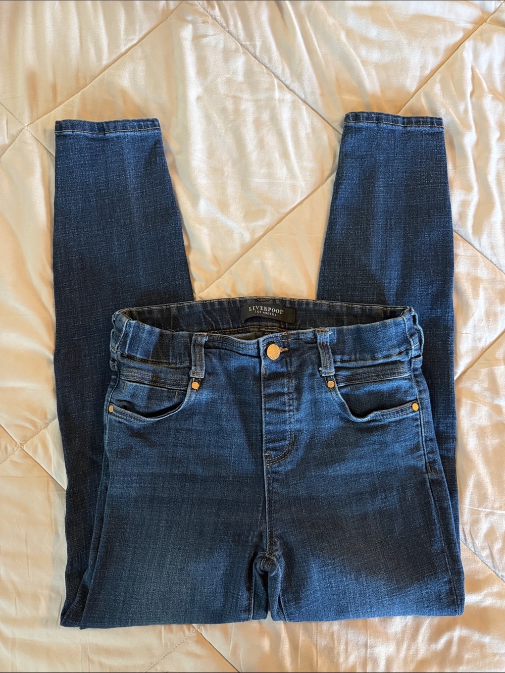 Liverpool Women's Skinny Jeans in Dark Blue Wash